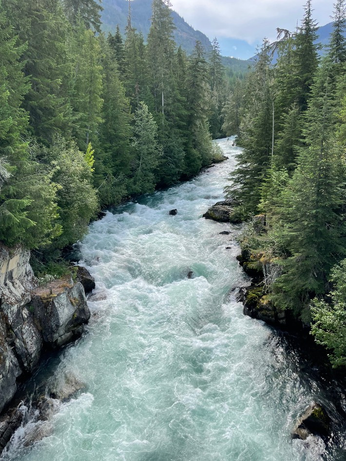 Cheakamus River