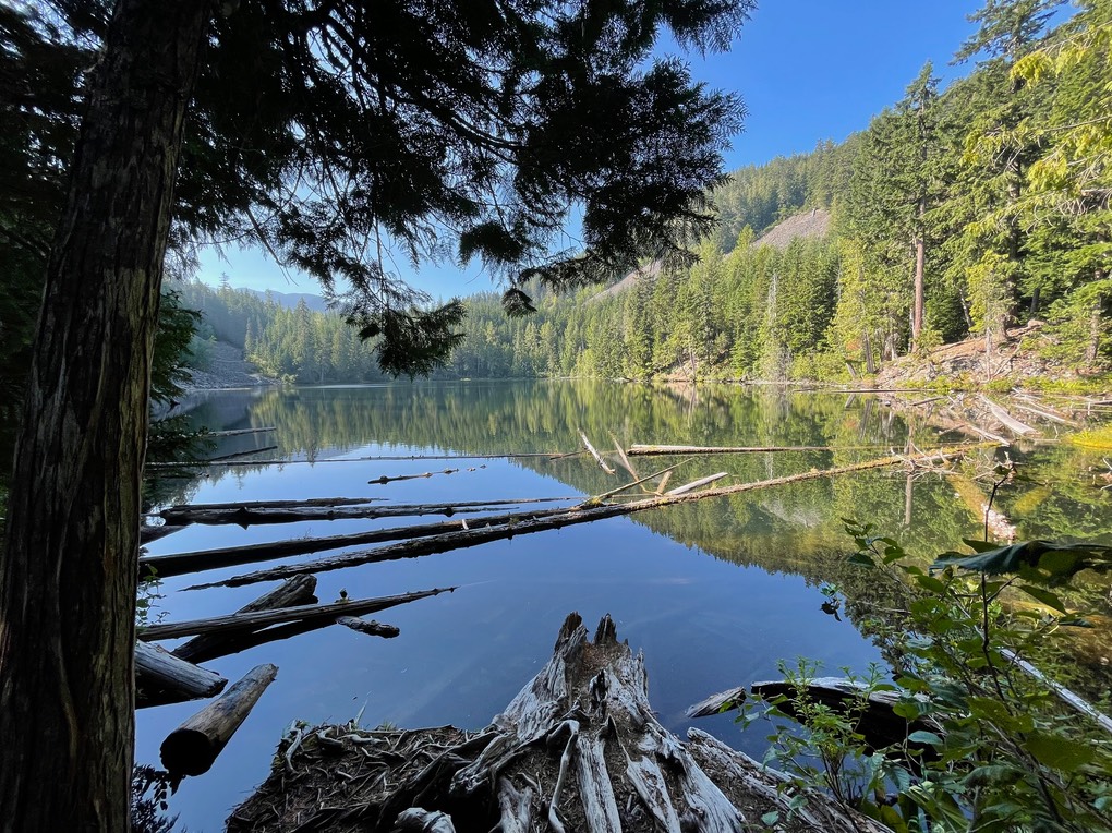 Loggers Lake